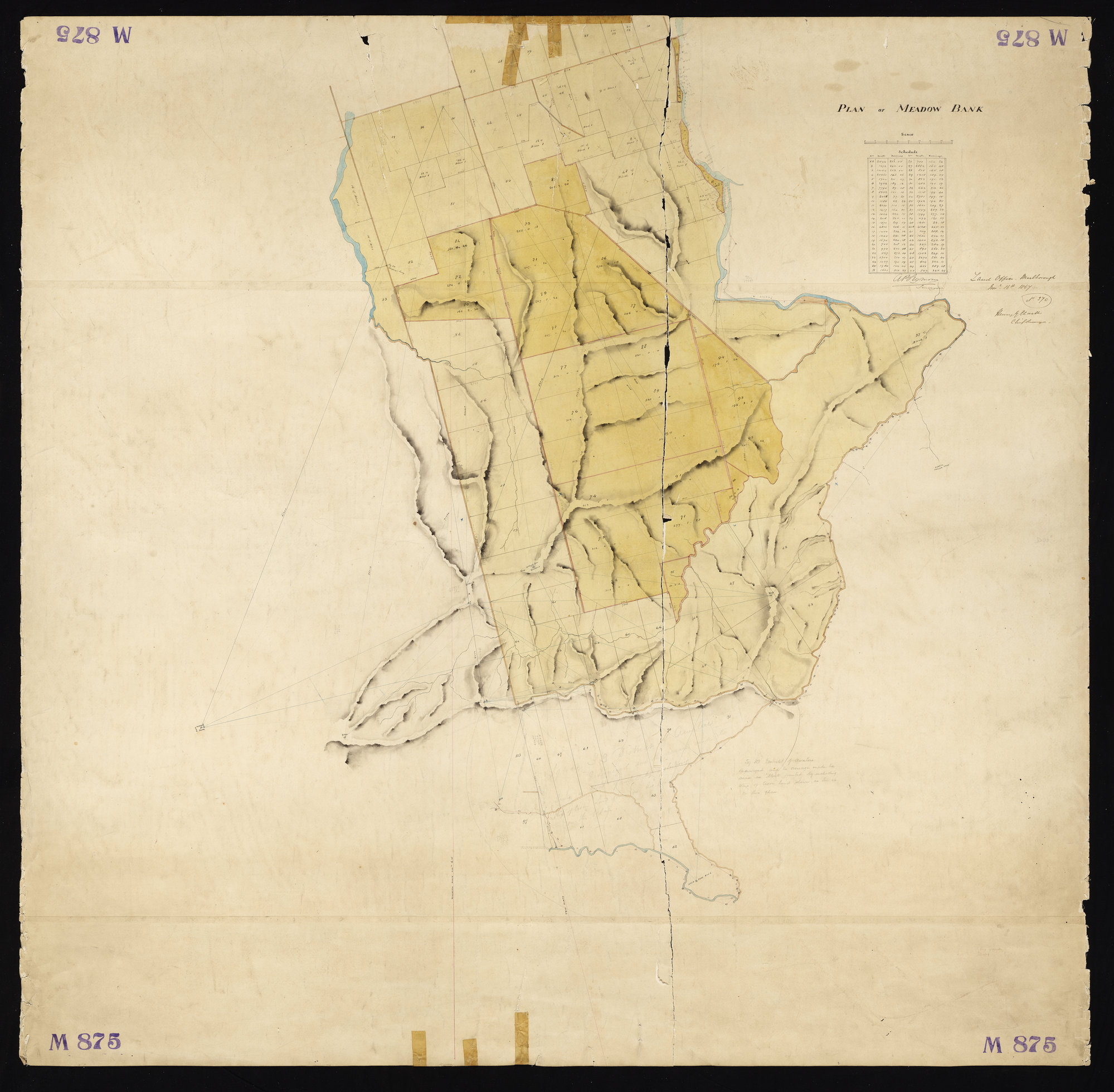 Sections in Meadowbank run Omaka R.D