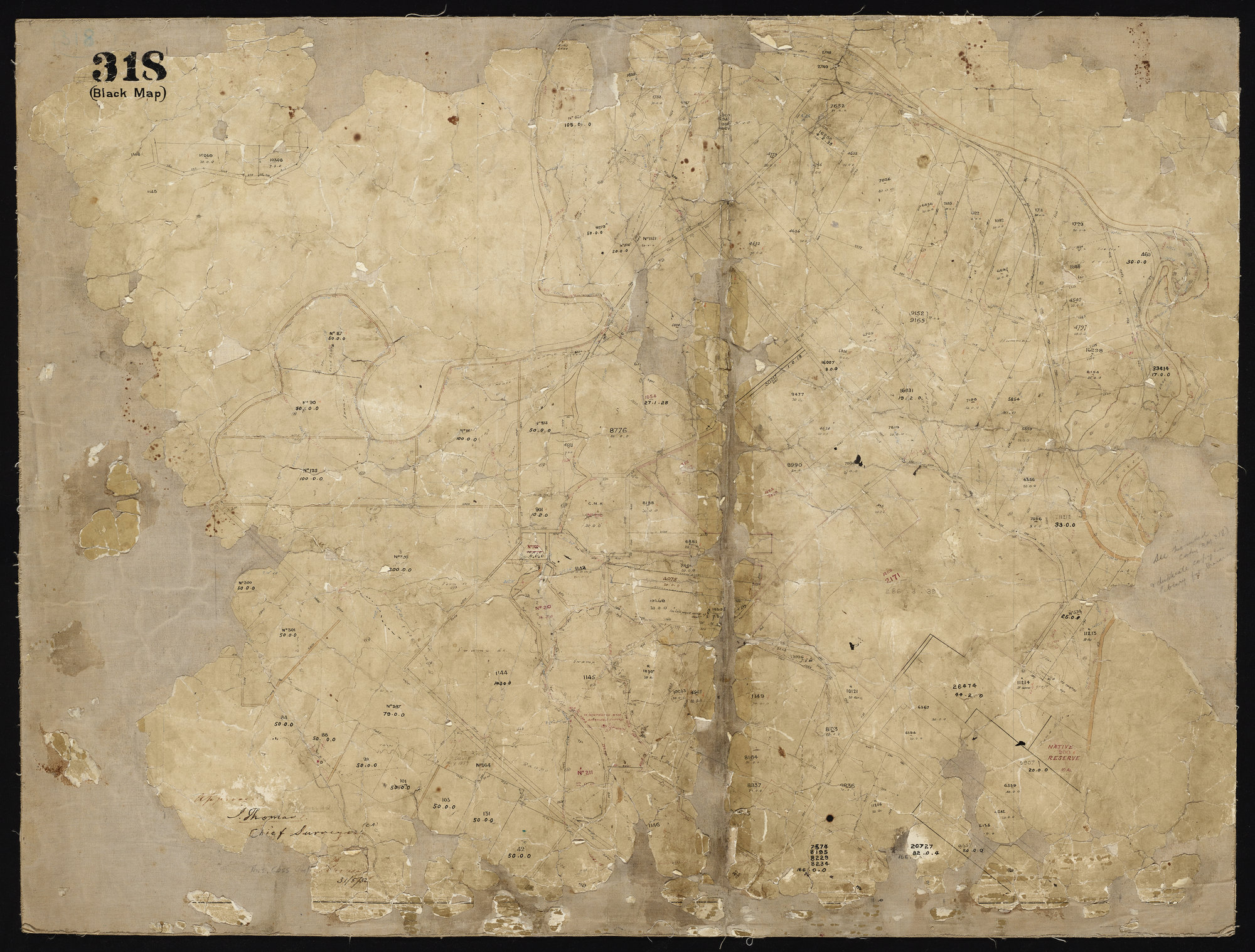 North East Christchurch