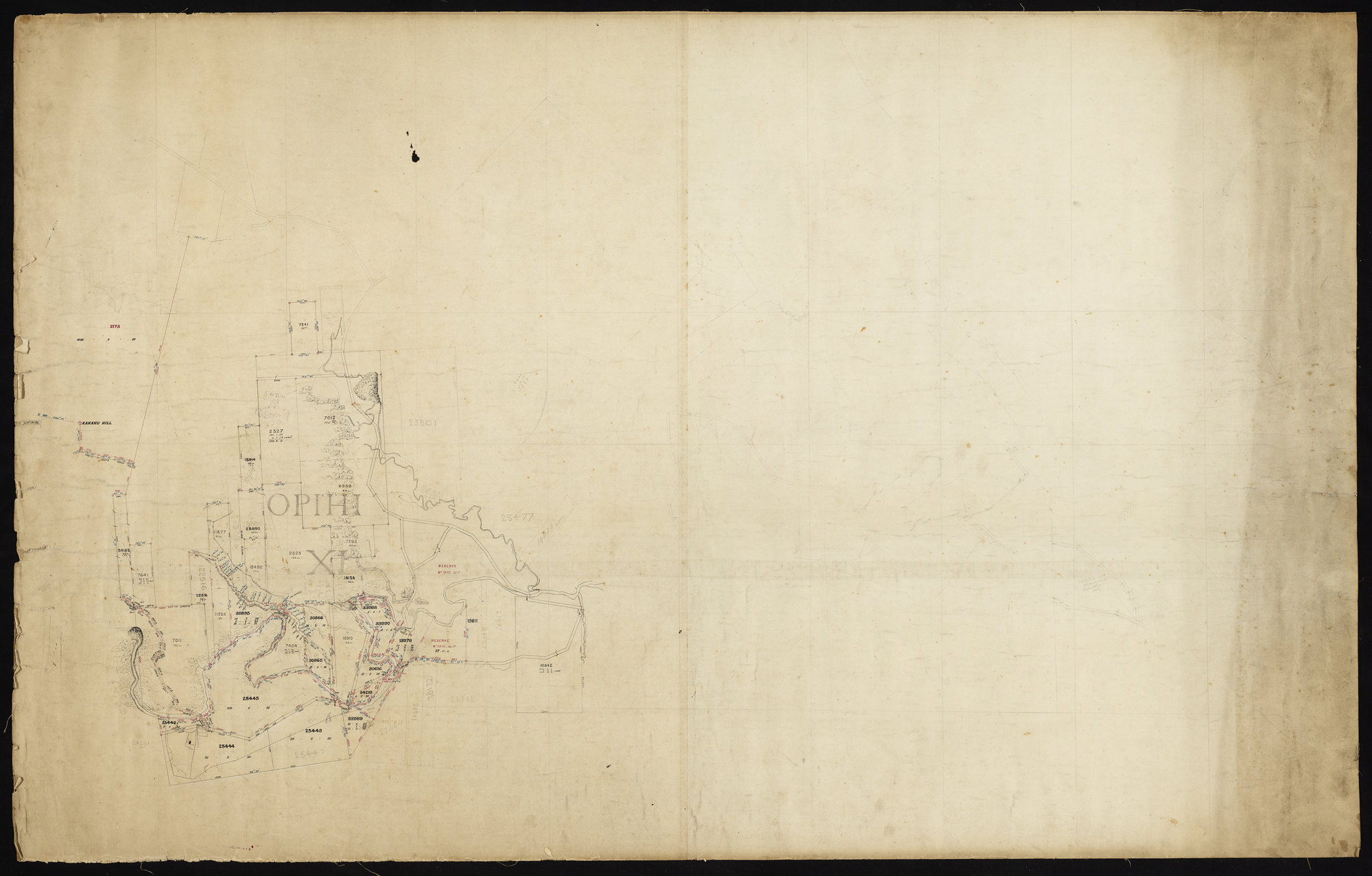 Sectional survey in Opihi 