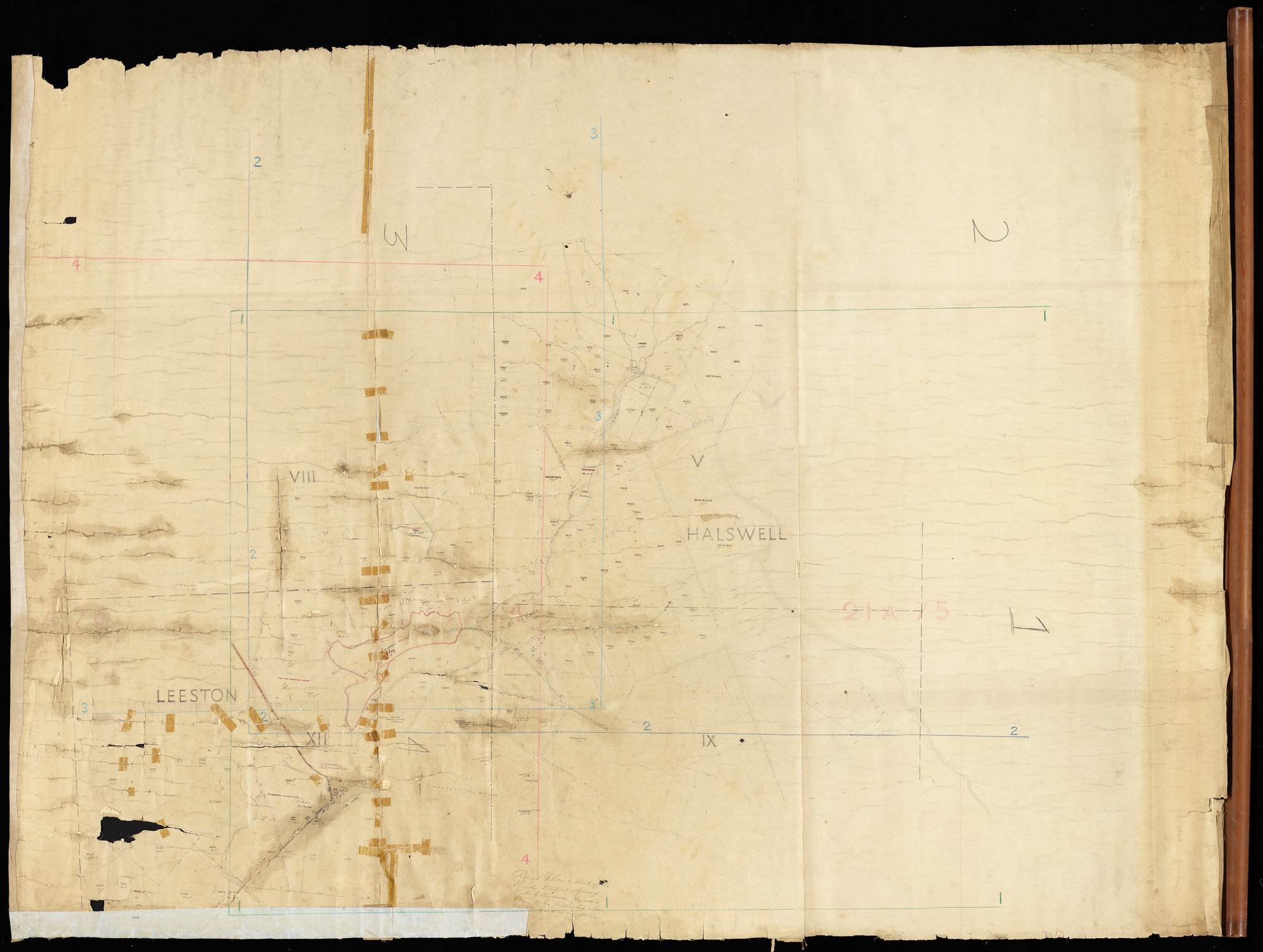 Simpsons Plot, Lincoln, &amp; Lake Ellesmere