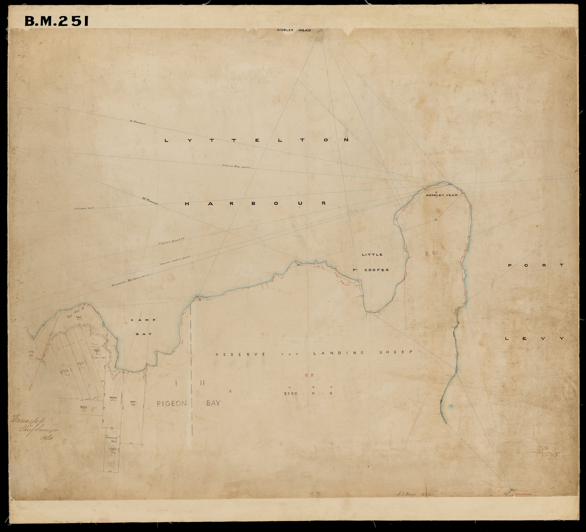 Camp Bay &amp; Little Port Cooper