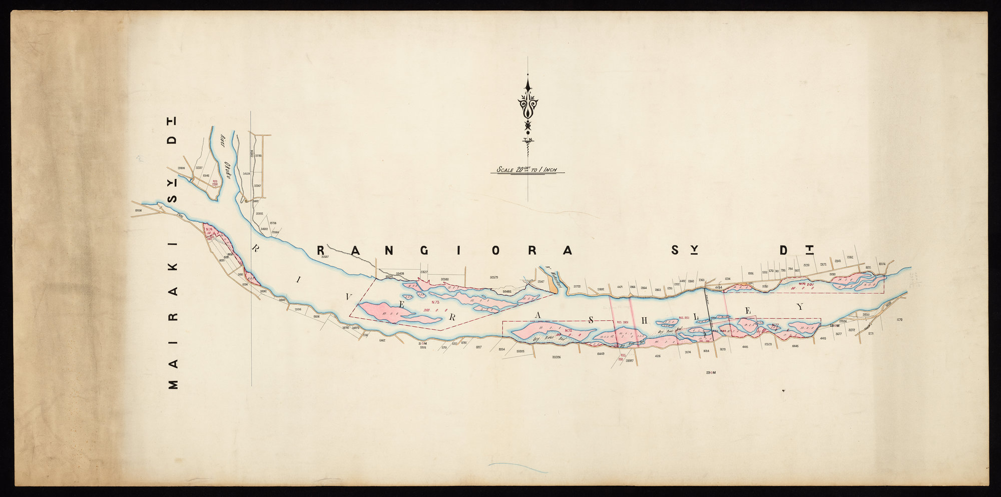 Runs in Ashley River Beds