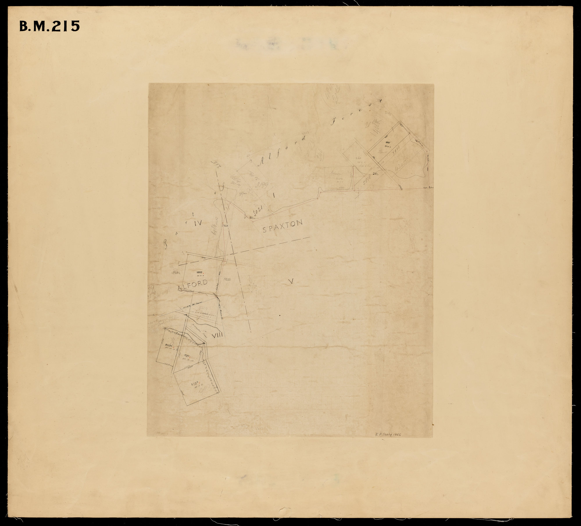 Sections in Alford Forest