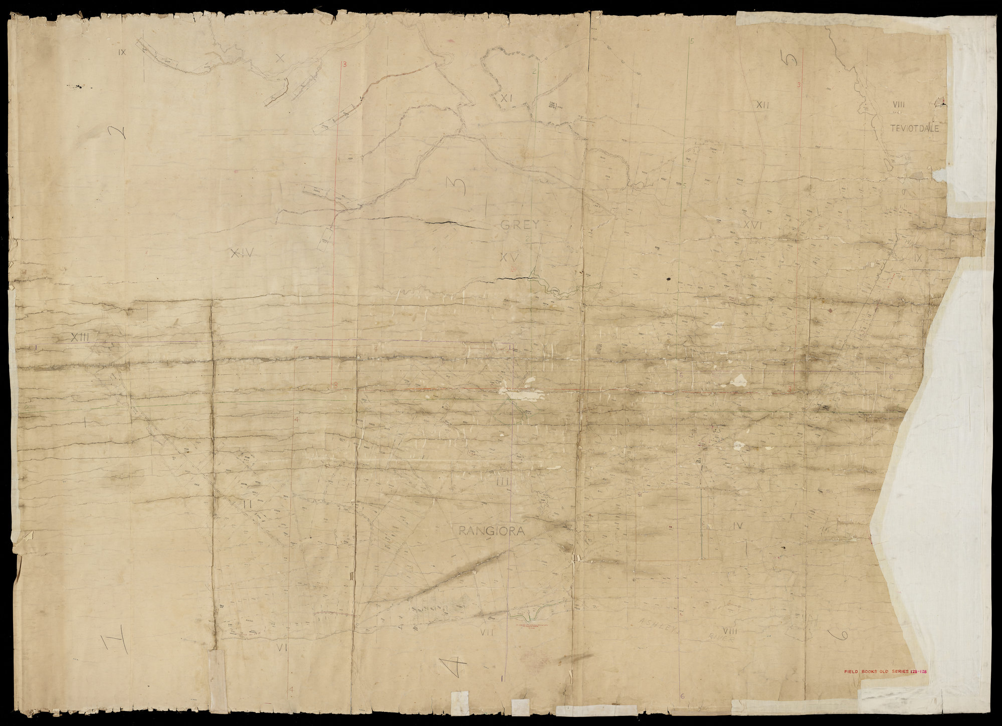 Grey, Rangiora, &amp; Teviotdale