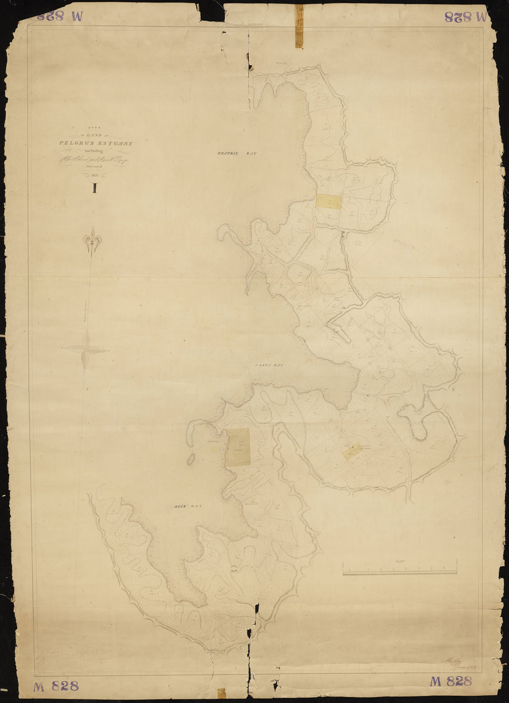 Sections in Pelorus Sound