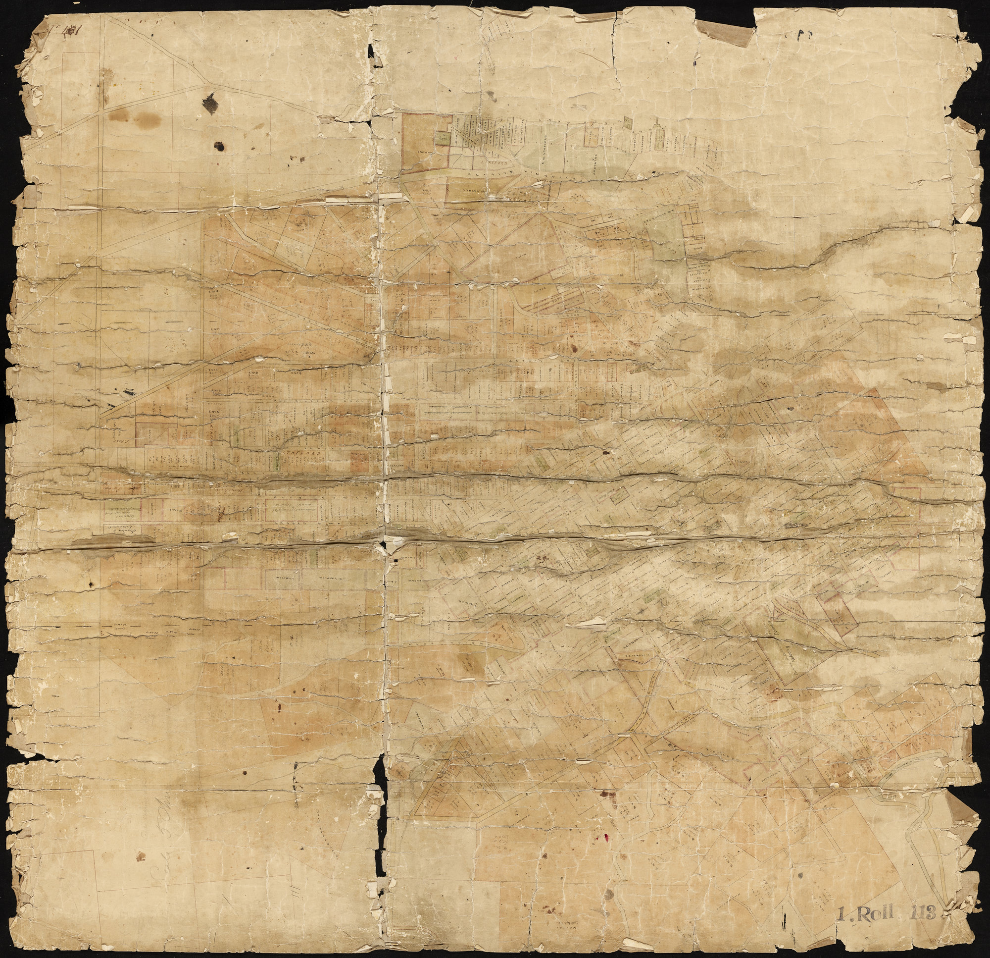 Native &amp; Public Reserve in Nelson