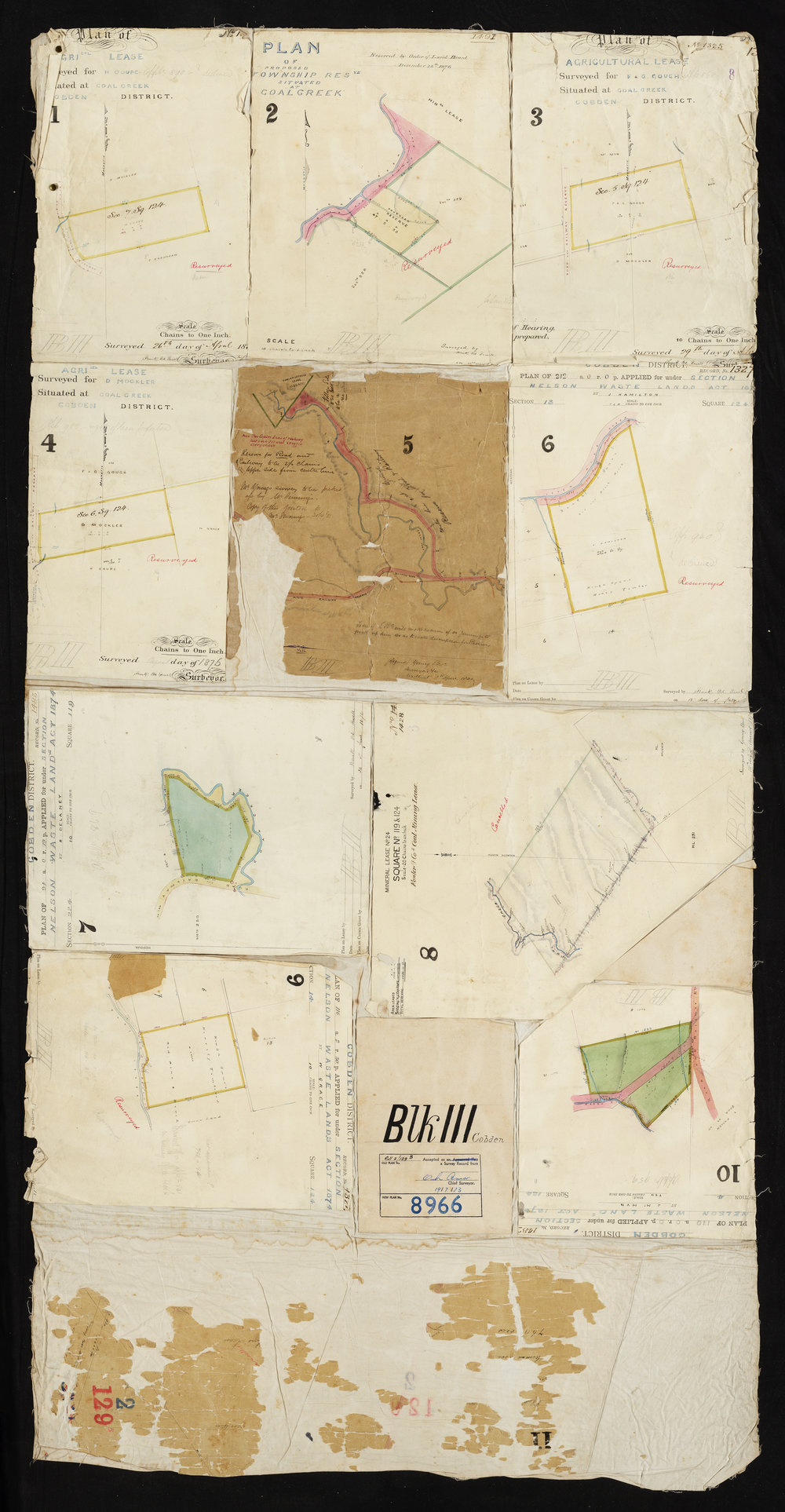 Old Nelson Plots (Cobden)
