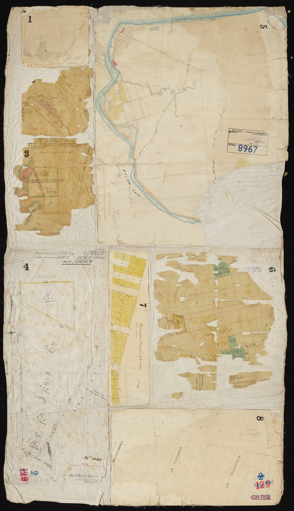 Old Nelson Plots (Cobden)