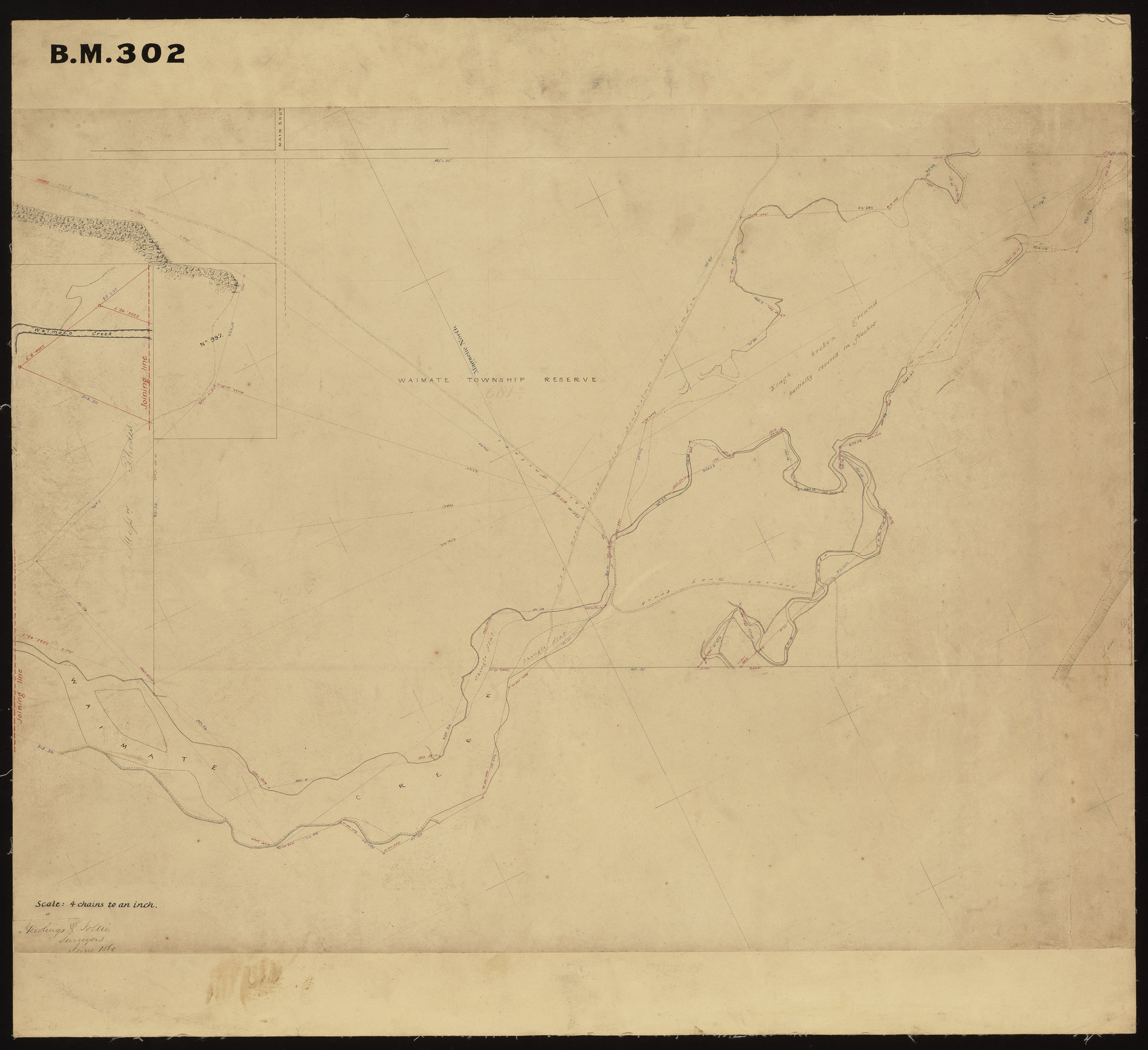 Waimate Township Reserve
