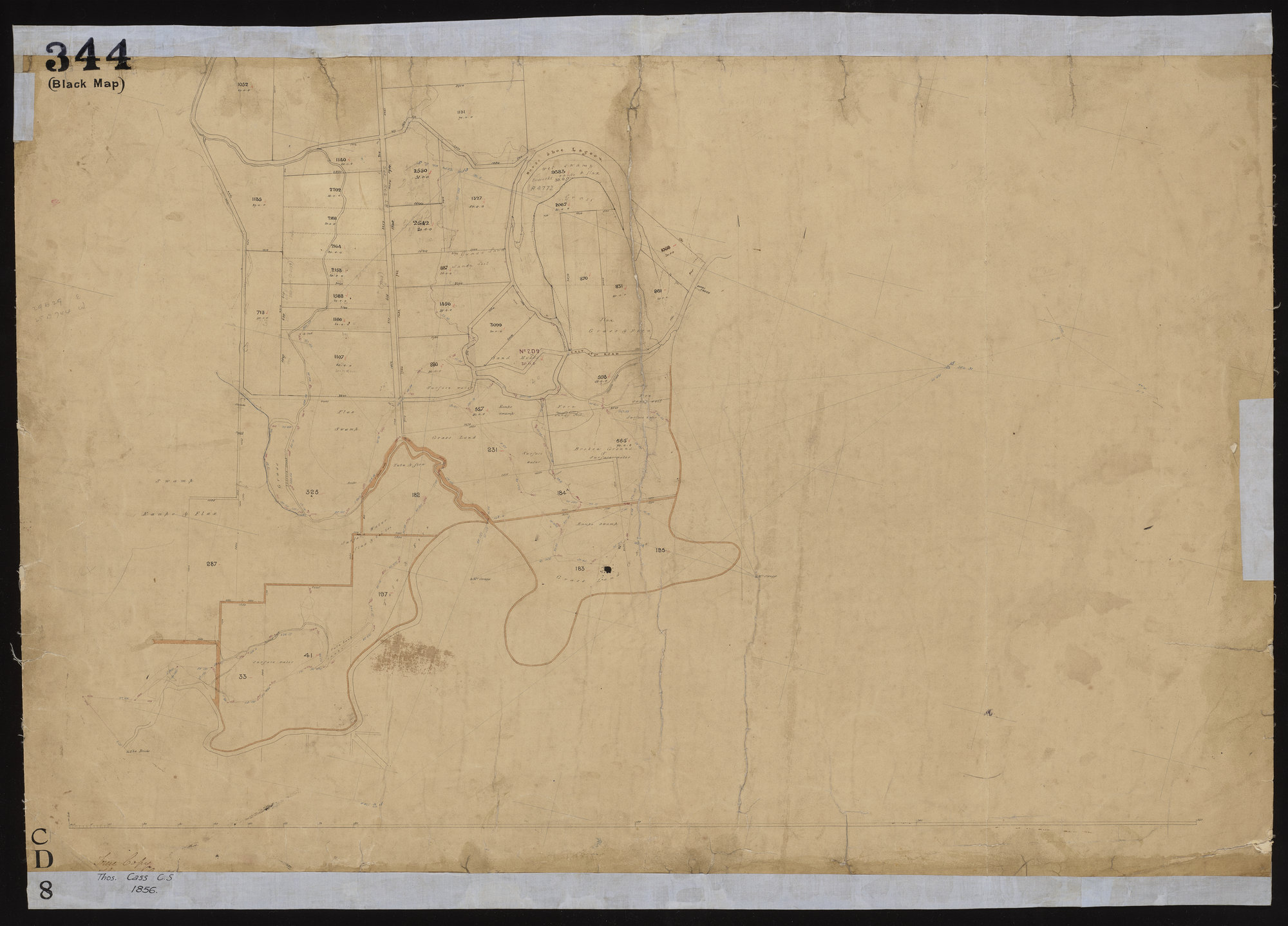 Christchurch District towards Horseshoe Lake