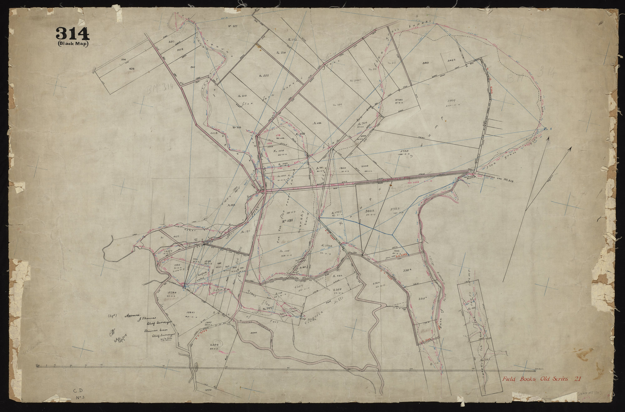 Christchurch Survey District