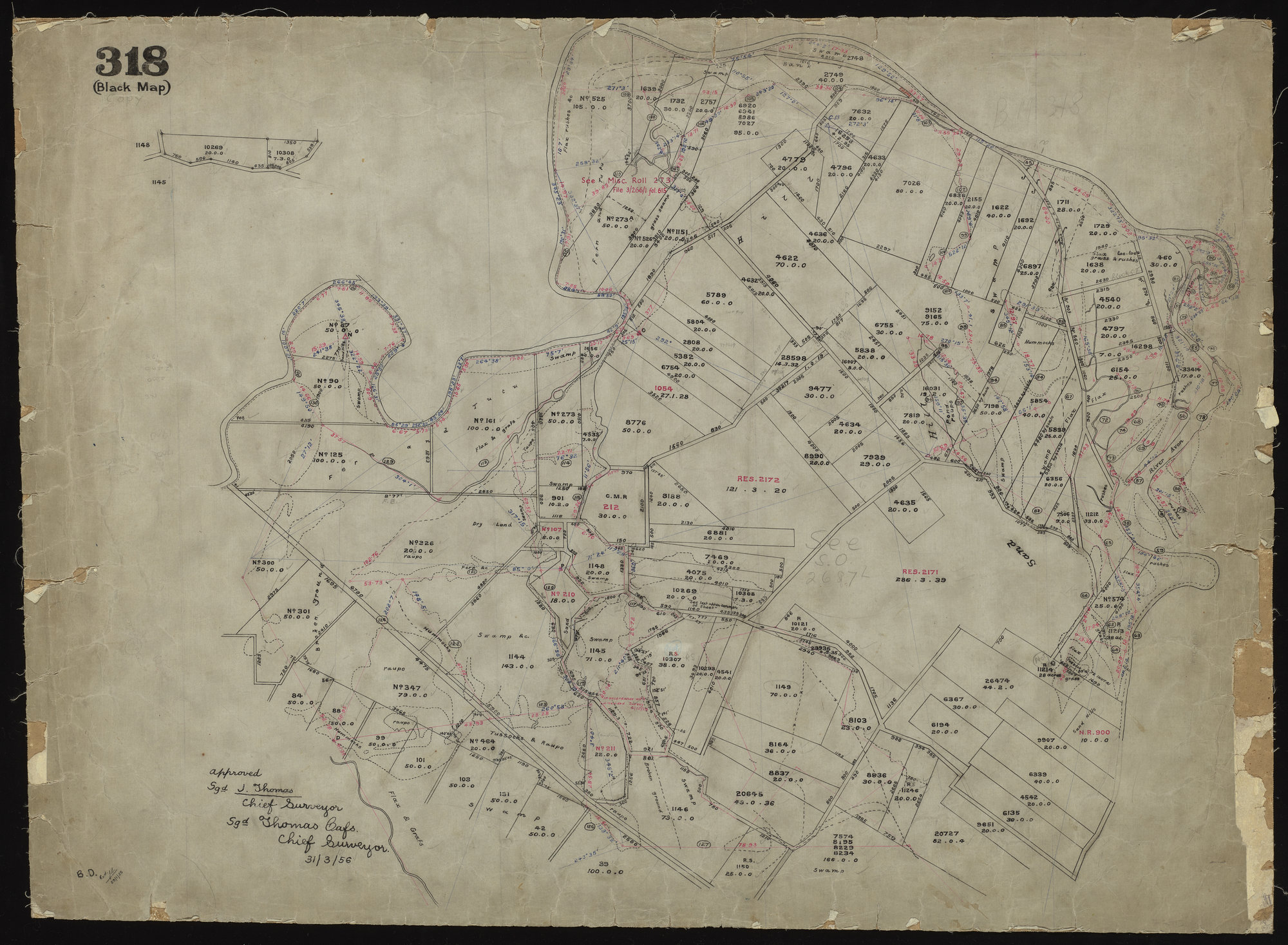 North East Christchurch