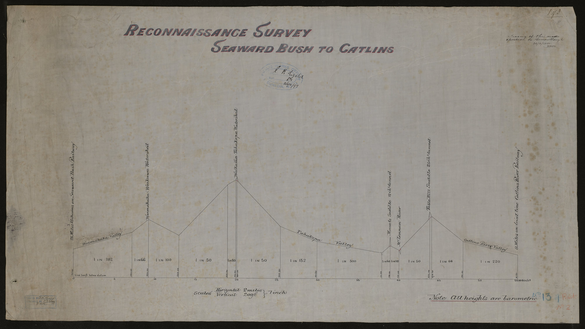 Reconnaissance Survey Seaward Bush to Catlins