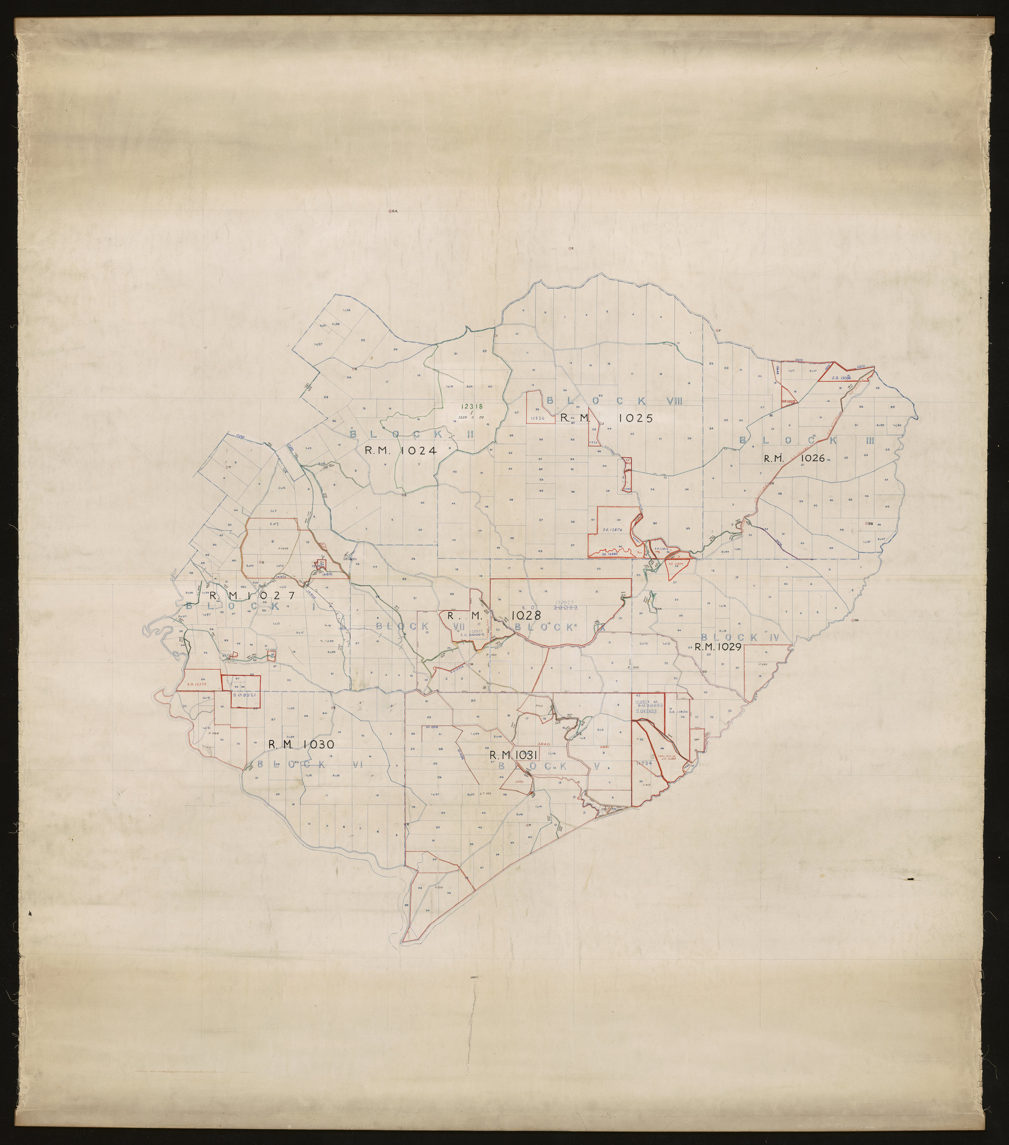 Akatore Survey District