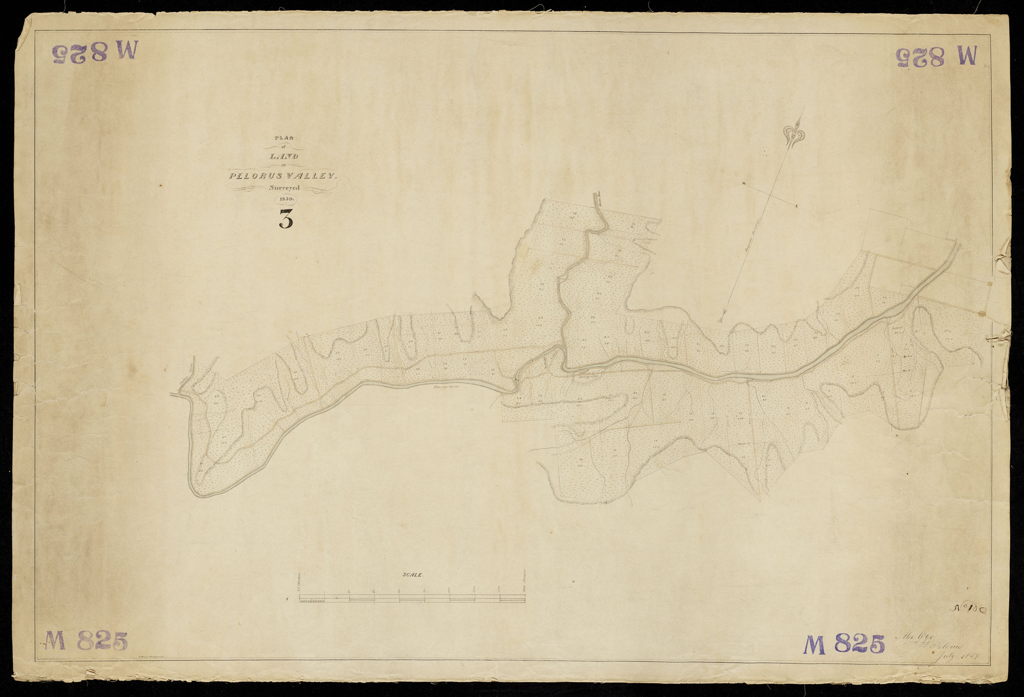 Sections in Pelorus Valley &amp; Upper Pelorus