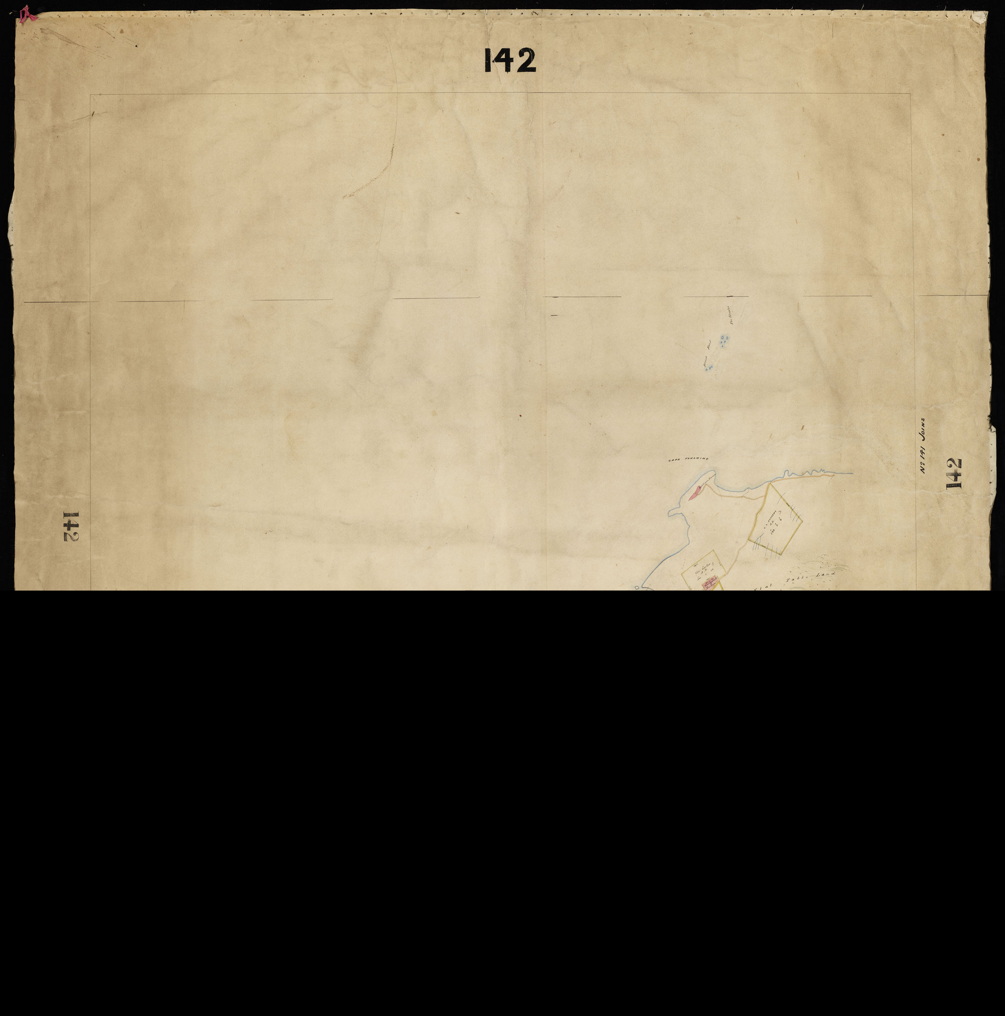 Steeples &amp; Waitakere