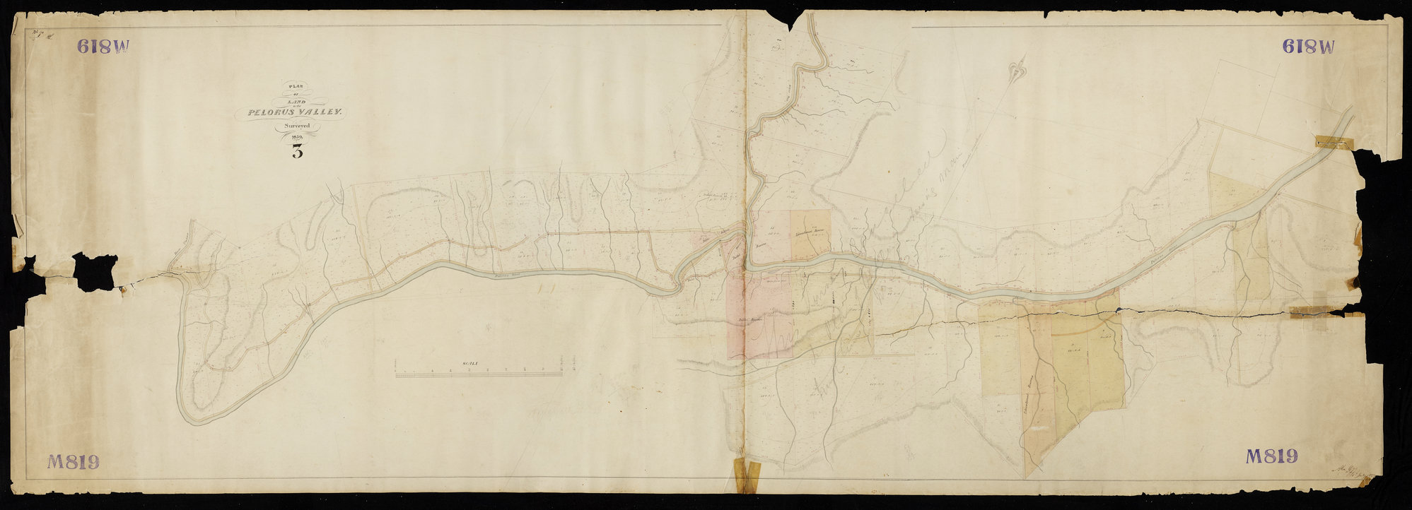 Pelorus Valley &amp; Upper Pelorus Valley