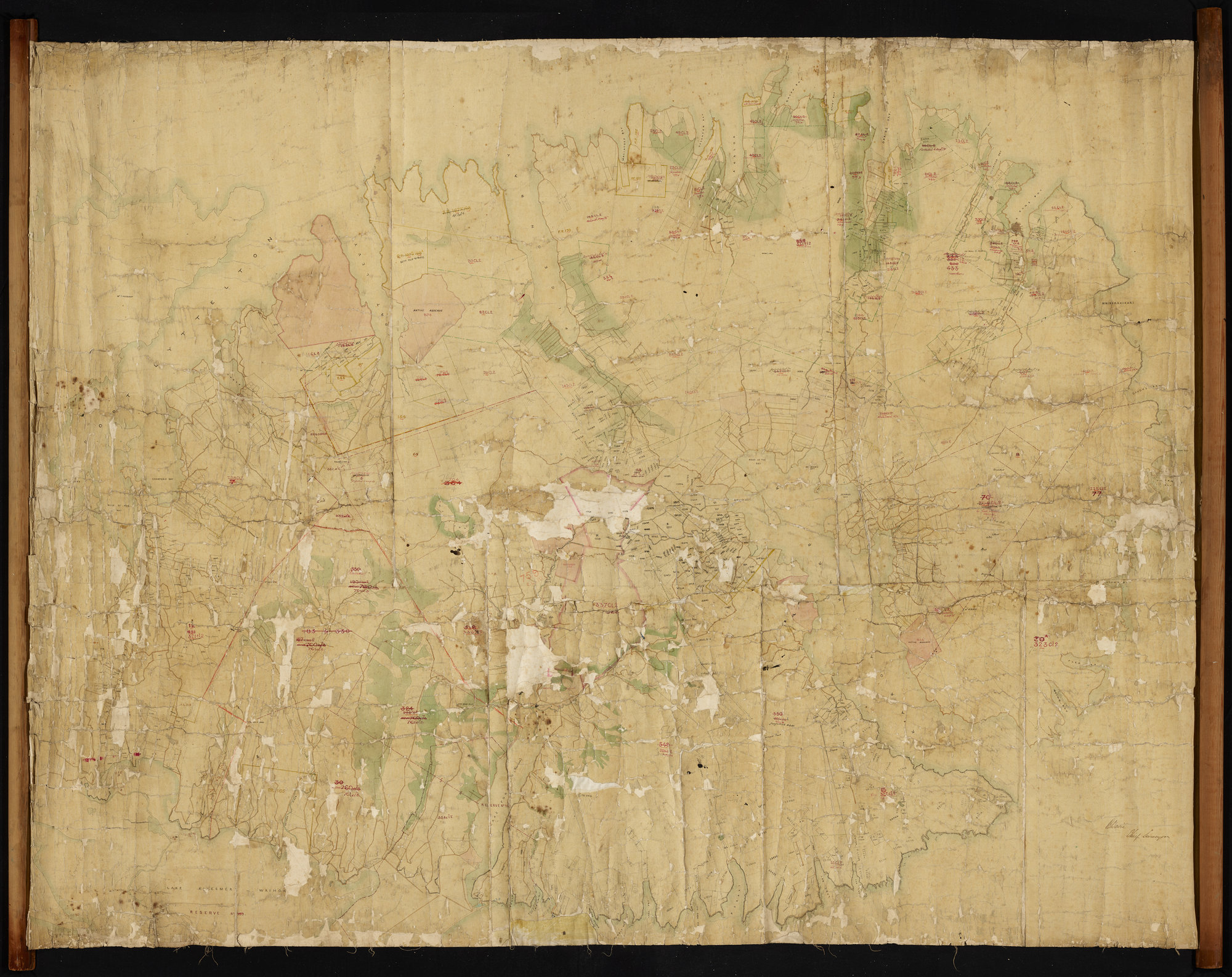 Pastoral Runs in Banks Peninsula