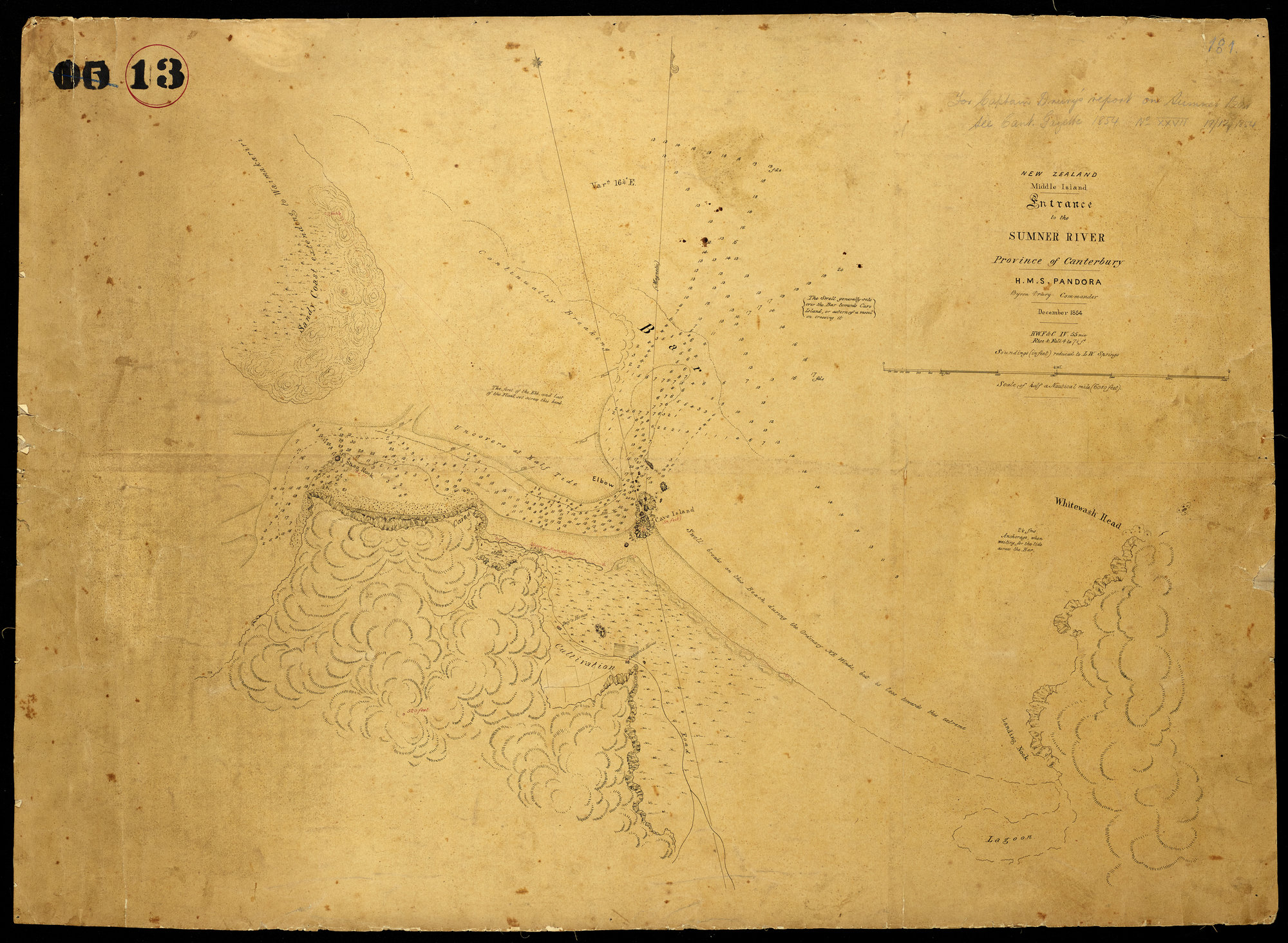 Christchurch: Avon-Heathcote Estuary