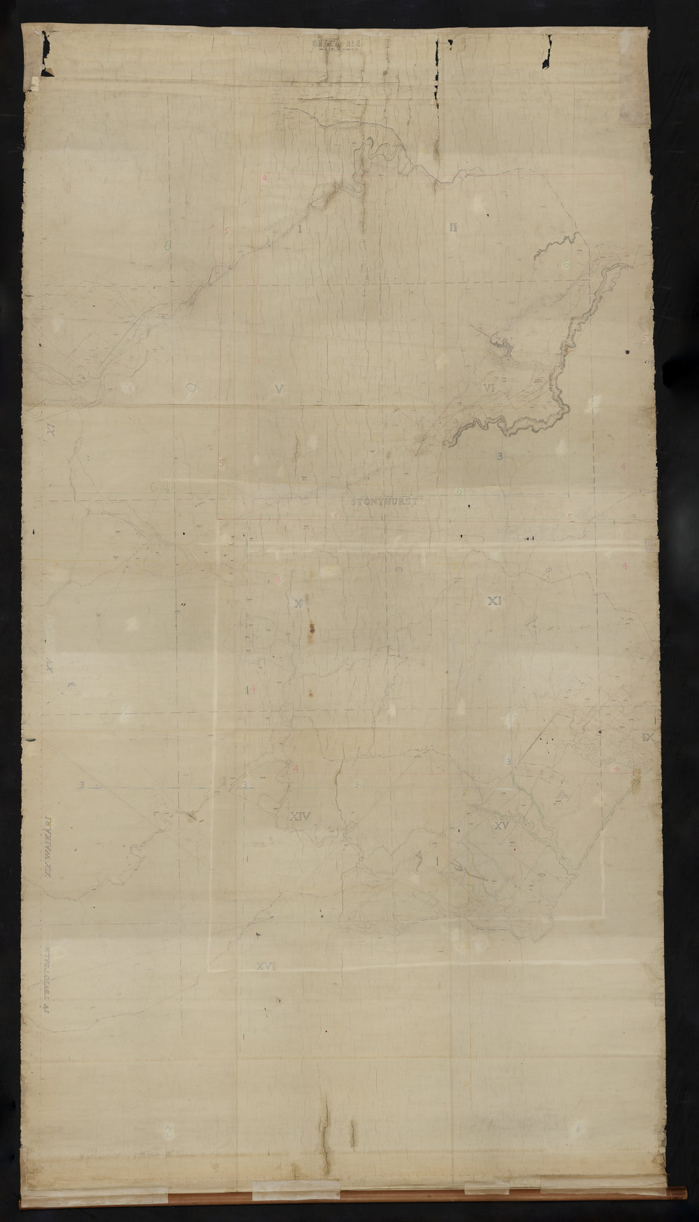 Cabbage Tree Flat to Hununui