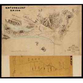 Lake Coleridge & Peel Forest Road