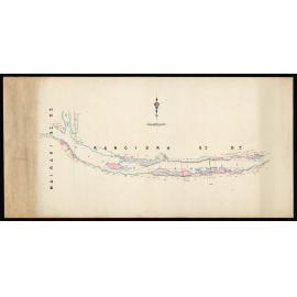 Runs in Ashley River Beds