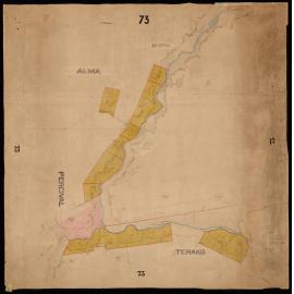 Alma, Percival, Severn, & Terako