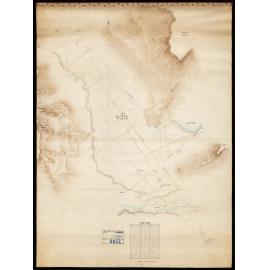 Paddock Survey Lake Brunner