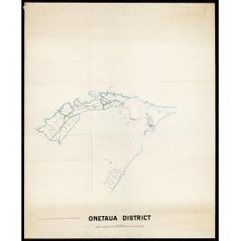 Onetaua District