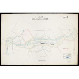 Hokitika & Kokatahi river