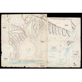 Topographical Plan Haast River to Bullock Creek