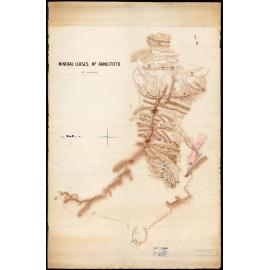 Mineral Leases near Mt Rangitoto