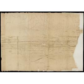 Grey, Rangiora, & Teviotdale