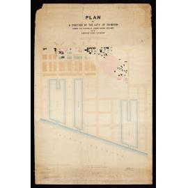 Plan of City of Dunedin
