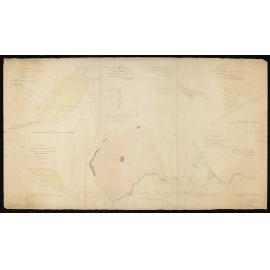 Native Reserve in Banks Peninsula