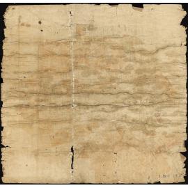 Native & Public Reserve in Nelson