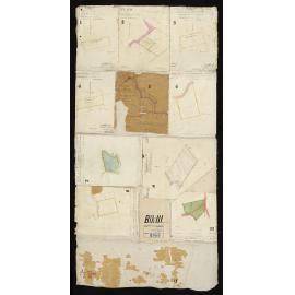 Old Nelson Plots (Cobden)