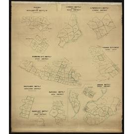 Raincliff, Rautawiri, Rapuwai, Annan, Pareora No 2, Punaroa, Kohika & Eccleston, Lyndon, Lyndon No 2 Settlements