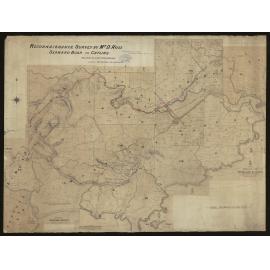 Seaward Bush to Catlins