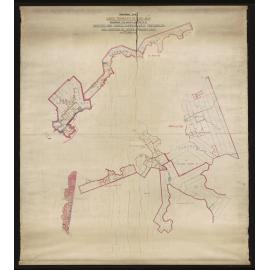 Dunedin Suburban East Survey District