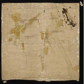 Wangapeka, Wai-iti, Gordon, & Tadmor