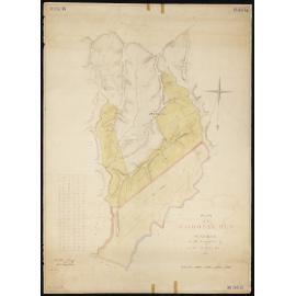 Waihopai run & sections in Dillon run