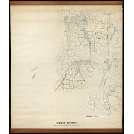 Tadmor Survey District