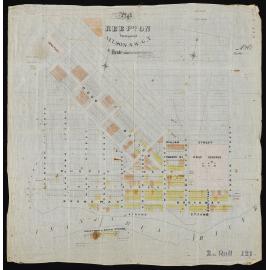 Plan of Reefton, Inangahua, & Nelson
