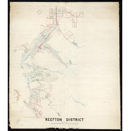 River Inangahua & Reefton District