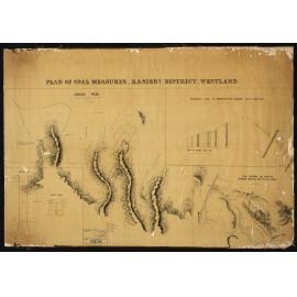 Kaniere Coal measures