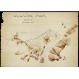 Jackson Bay Settlement