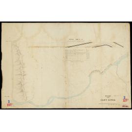 Grey River on the West Coast