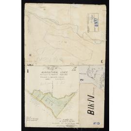 Old Plots & Tracing - Nelson