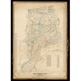 Highfield Estate - Cloudy Range Run